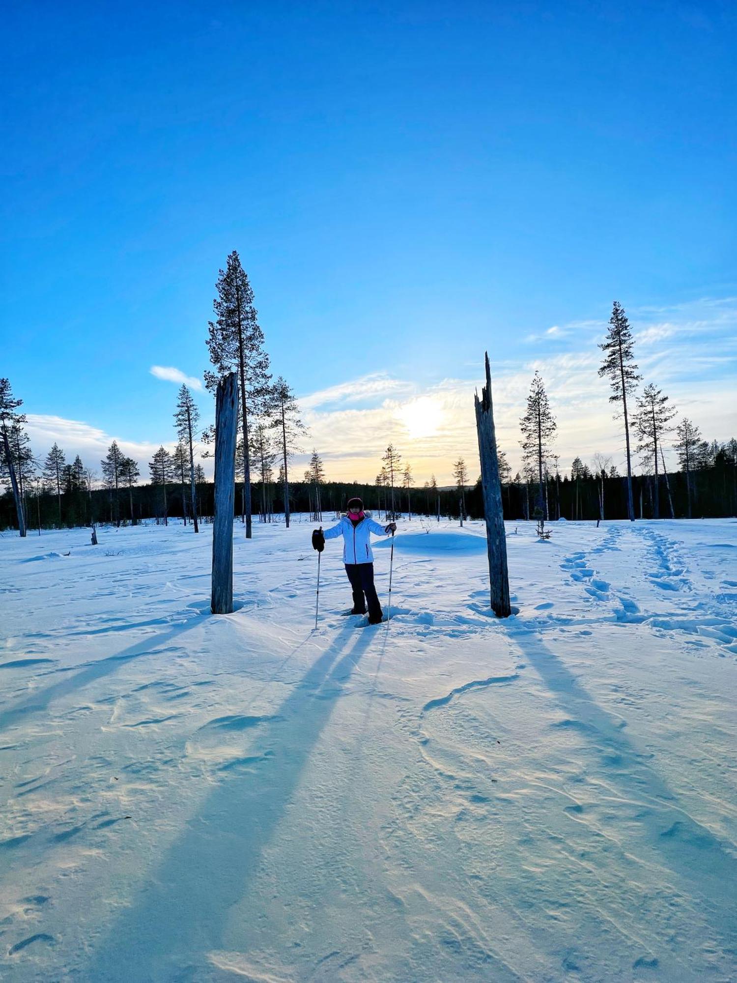 Skyfire Village Igloos Rovaniemi Exterior photo