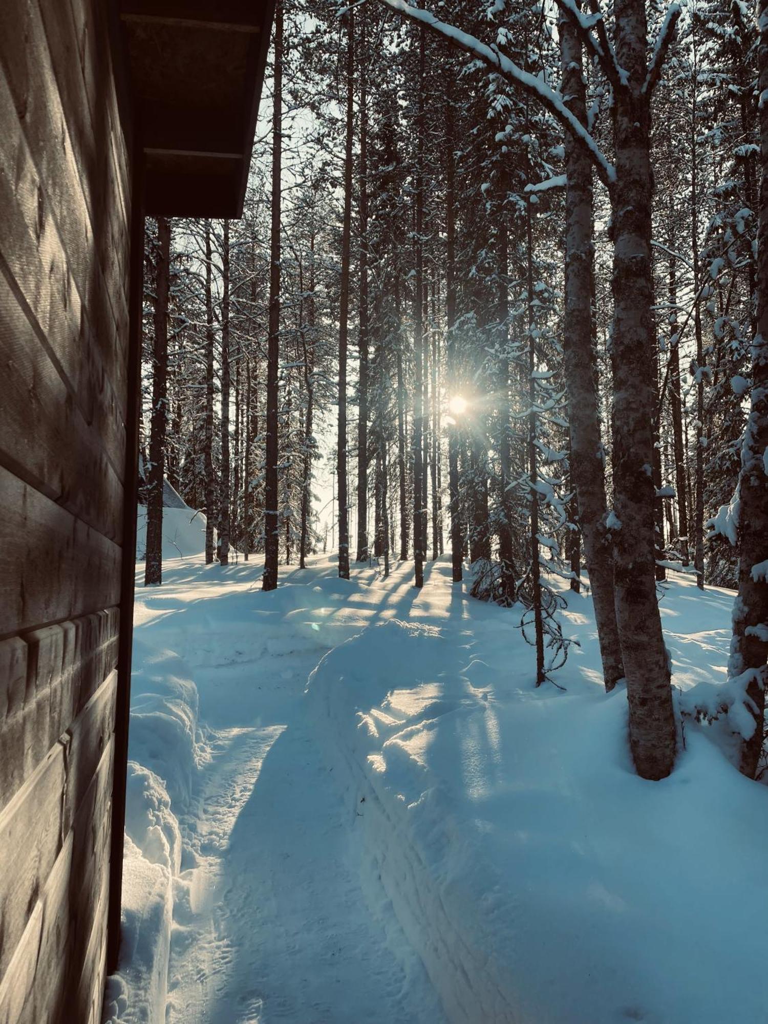 Skyfire Village Igloos Rovaniemi Exterior photo