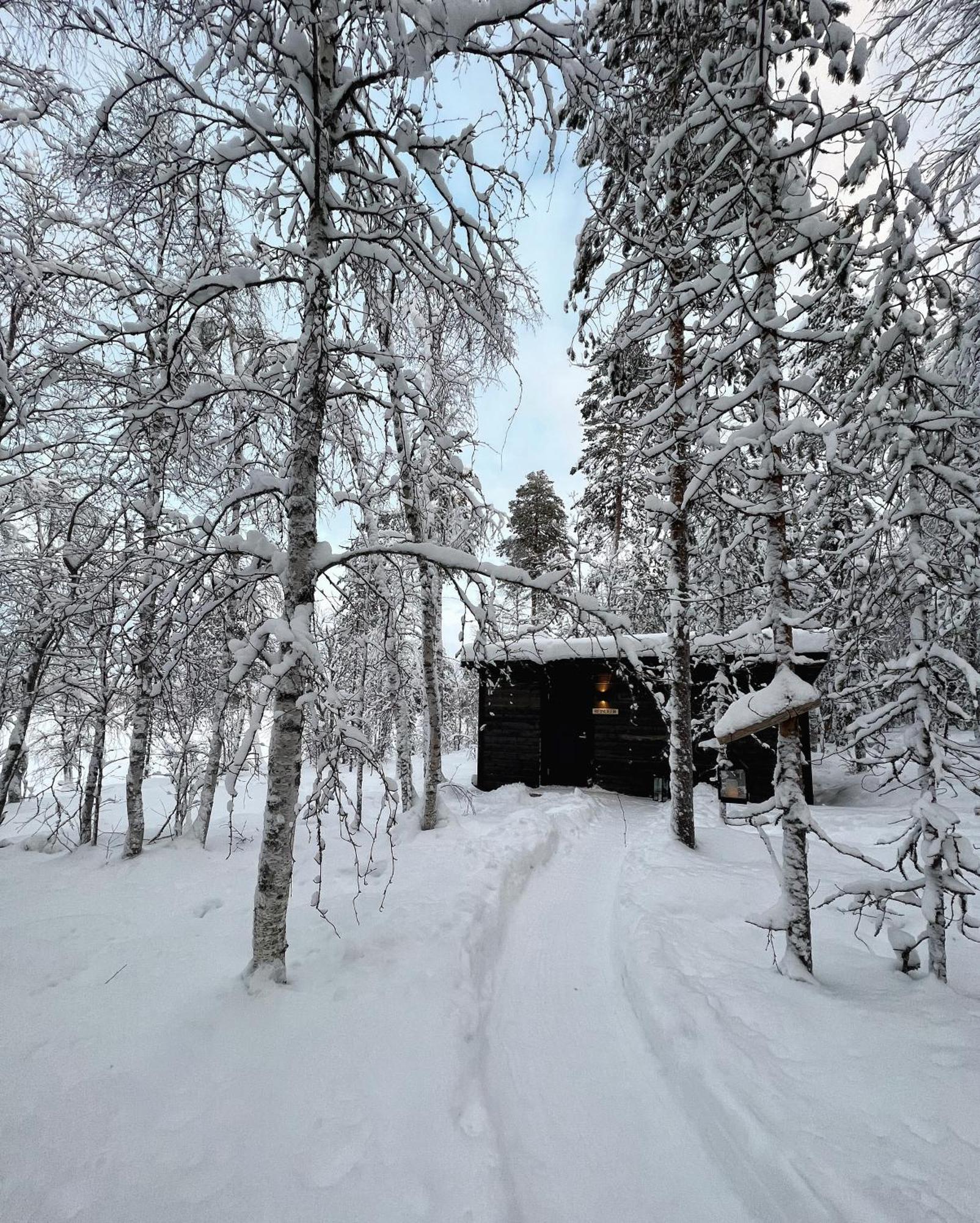 Skyfire Village Igloos Rovaniemi Exterior photo